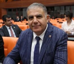 Zeytin Ağaçları Katledilmeye Devam Ediyor