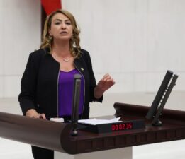 Milletvekili Kara Hatay’daki Çevre Sorunlarını Meclise Taşıdı