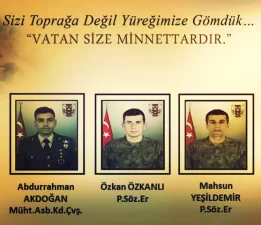 Vatan Toprağına Düşen Yürekler