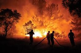 Türkiye’nin Çeşitli Bölgelerinde Orman Yangınları: Başlama Zamanı, Yerleri ve Son Durum