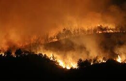 ORMAN YANGINI TAMAMEN KONTROL ALTINA ALINDI