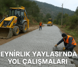 Peynirlik Yaylası’nda Yol Çalışmaları